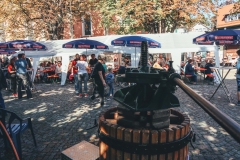 Suserfest_2019_IMG_0968
