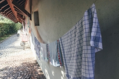 Suserfest_2019_IMG_1002