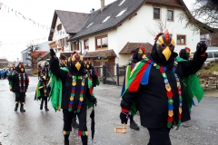 Narrentage Hattingen 2020